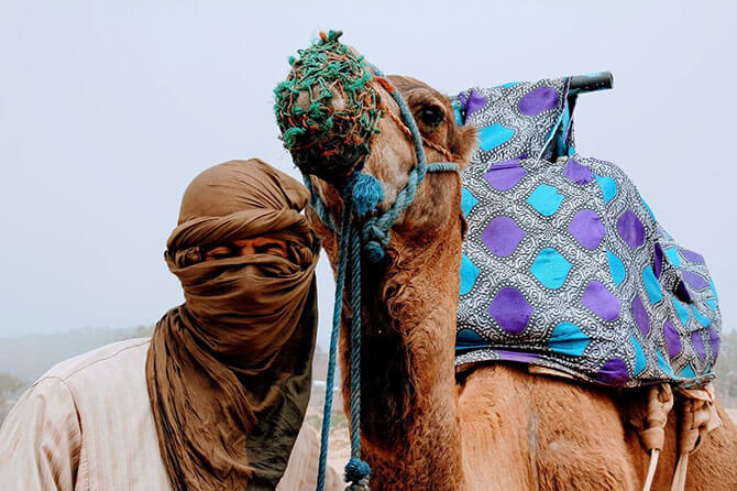 camel ride, Merzouga, berbers of Morocco