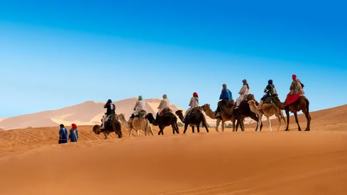 Desert Tours from Marrakech